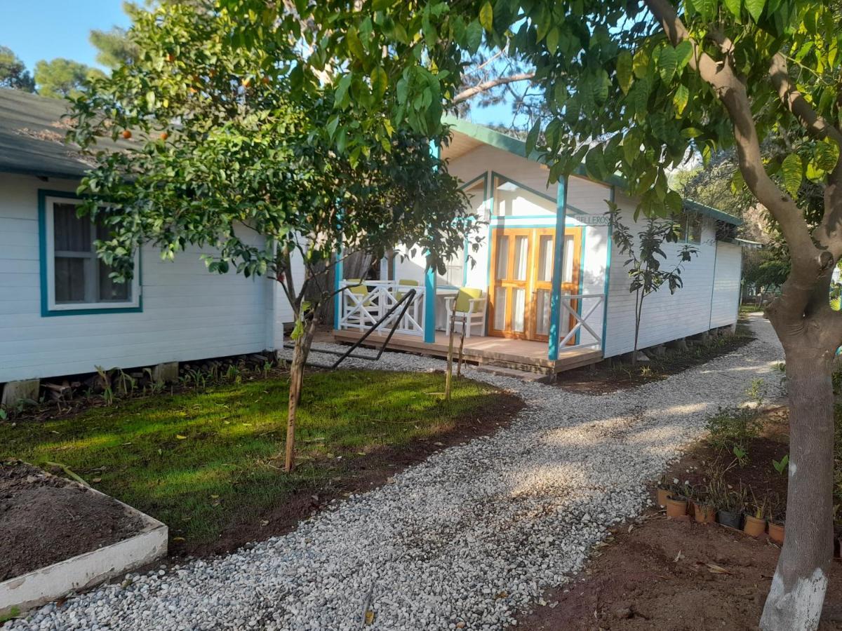 Bellerofon Beach Otel Cirali Exterior photo