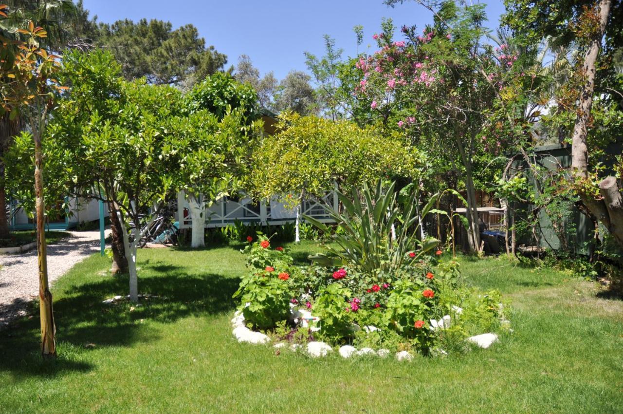 Bellerofon Beach Otel Cirali Exterior photo