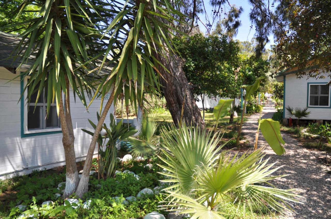 Bellerofon Beach Otel Cirali Exterior photo