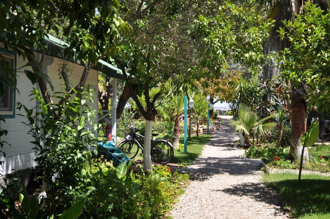 Bellerofon Beach Otel Cirali Exterior photo