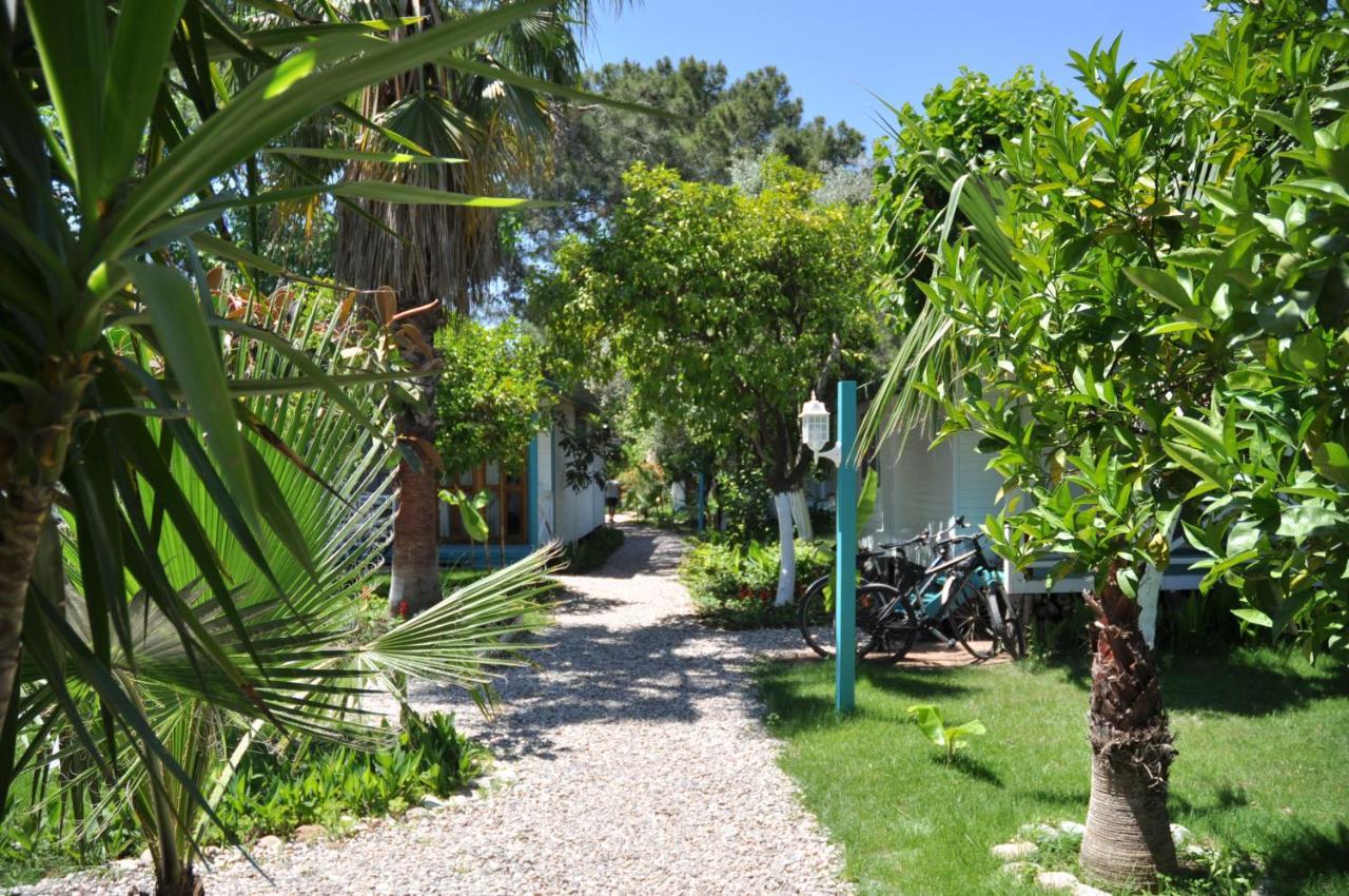 Bellerofon Beach Otel Cirali Exterior photo