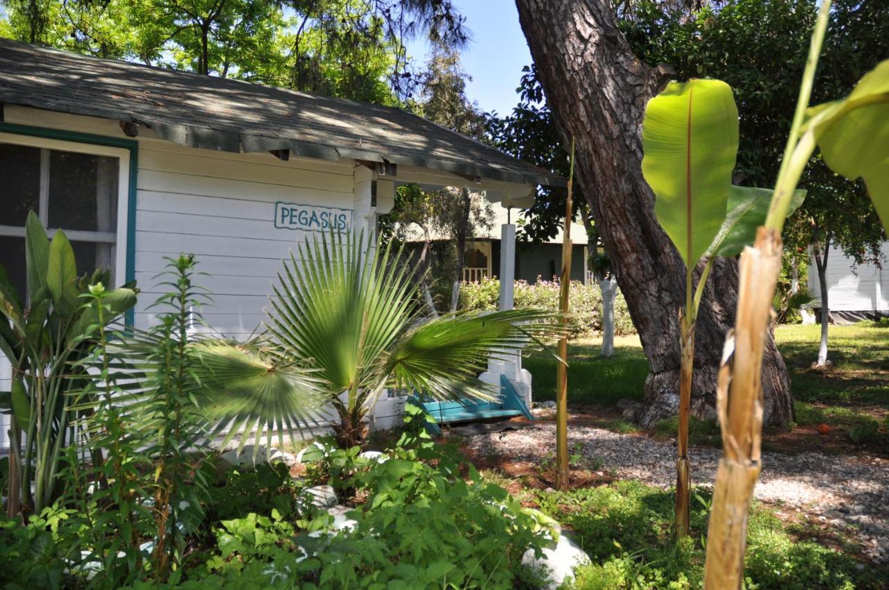 Bellerofon Beach Otel Cirali Exterior photo