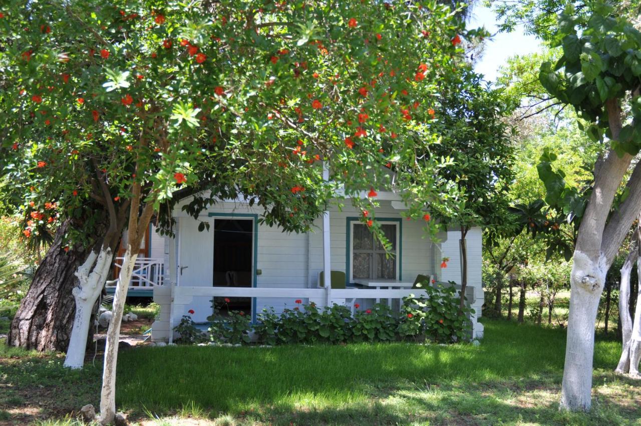 Bellerofon Beach Otel Cirali Exterior photo