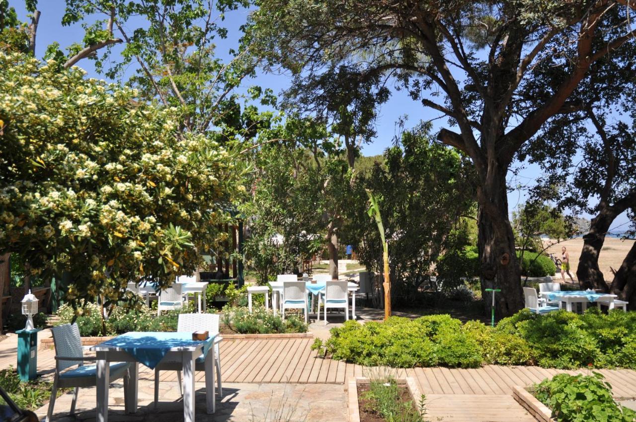 Bellerofon Beach Otel Cirali Exterior photo