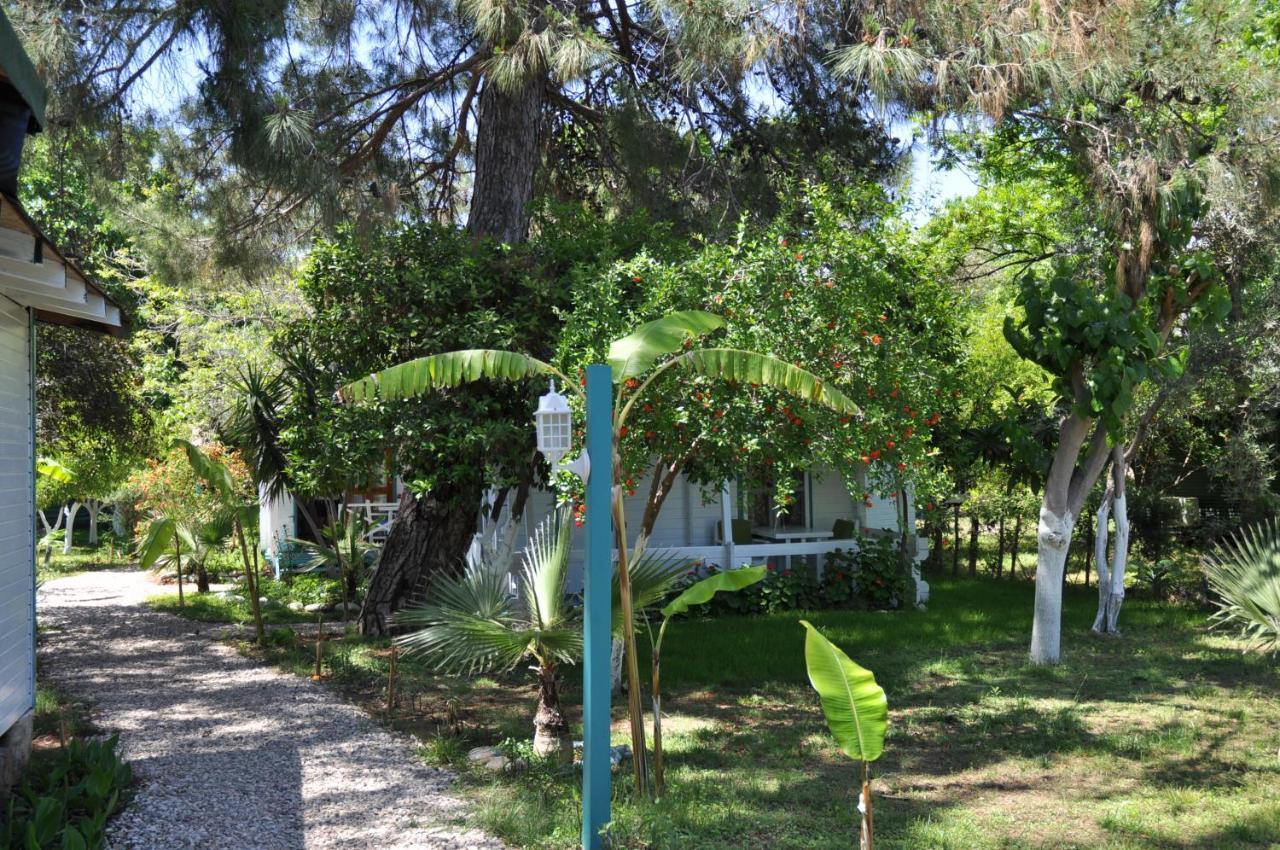 Bellerofon Beach Otel Cirali Exterior photo