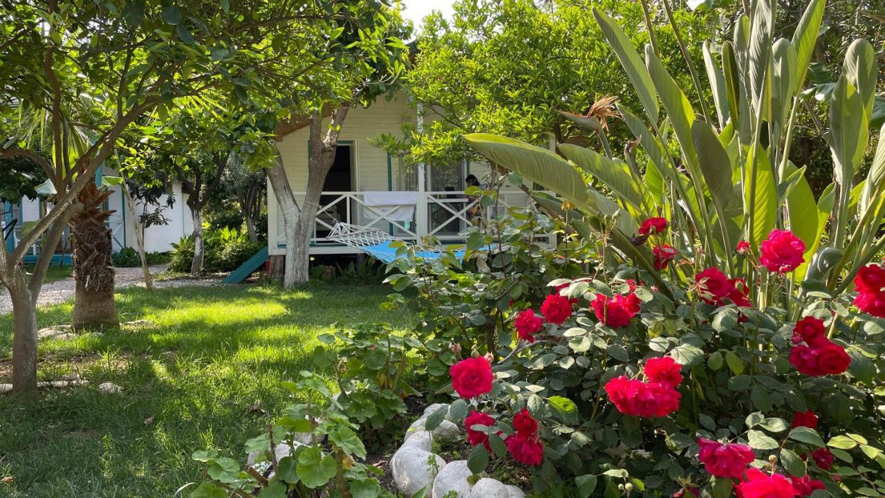 Bellerofon Beach Otel Cirali Exterior photo
