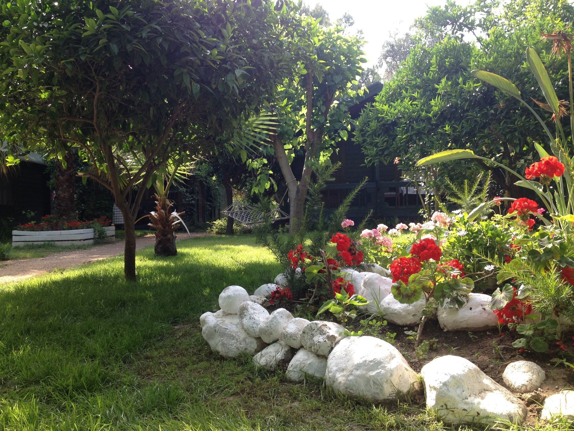 Bellerofon Beach Otel Cirali Exterior photo