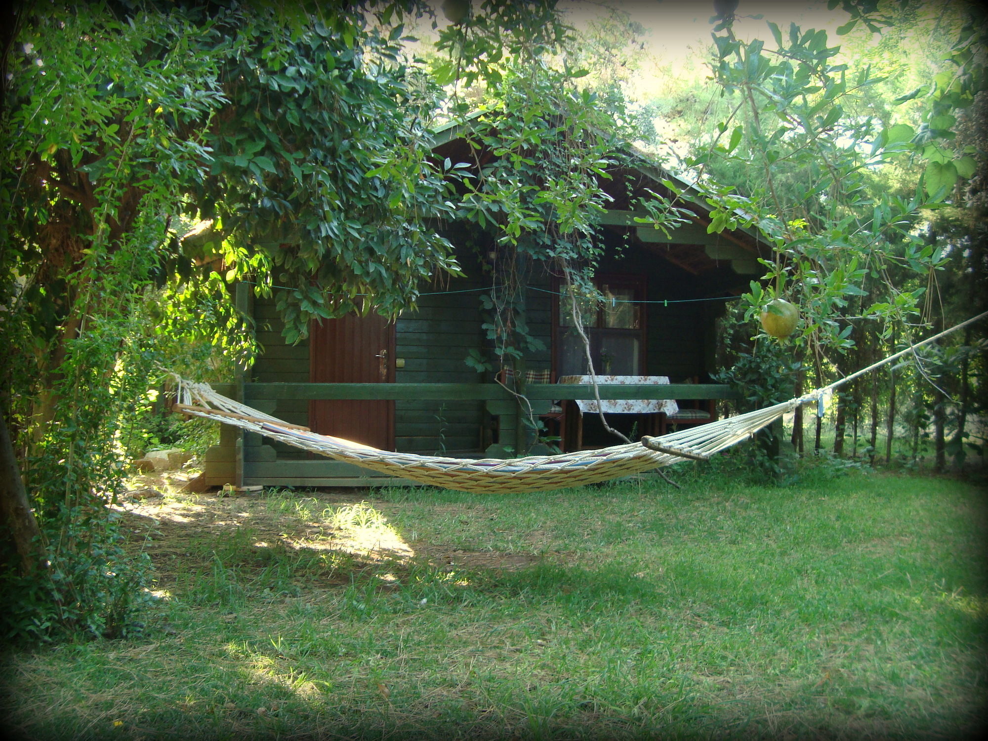 Bellerofon Beach Otel Cirali Exterior photo
