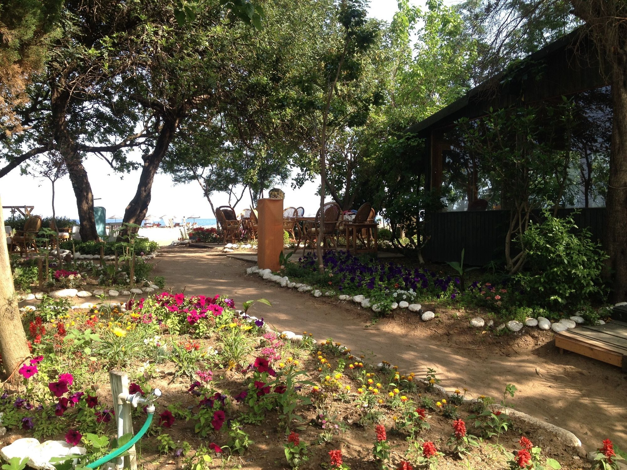 Bellerofon Beach Otel Cirali Exterior photo