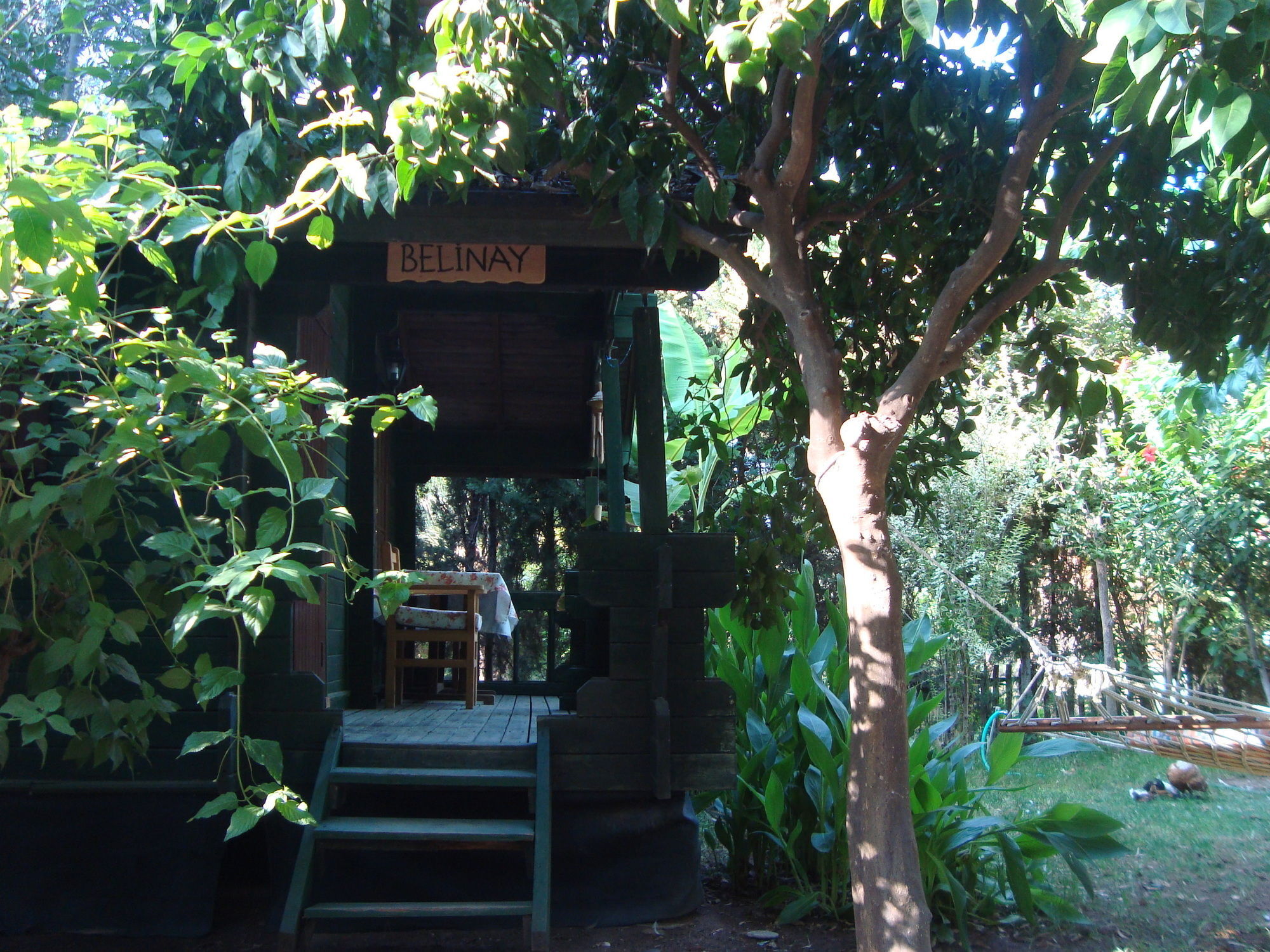 Bellerofon Beach Otel Cirali Exterior photo